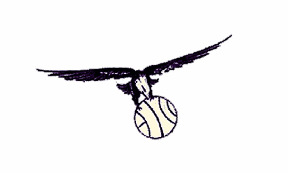 Los Hawks tuvieron dos logos durante su paso por Saint Louis (FOTOGRAFÍA gentileza 1000marcas).